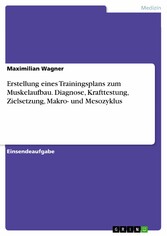 Erstellung eines Trainingsplans zum Muskelaufbau. Diagnose, Krafttestung, Zielsetzung, Makro- und Mesozyklus