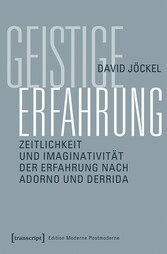 Geistige Erfahrung