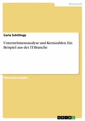 Unternehmensanalyse und Kennzahlen. Ein Beispiel aus der IT-Branche