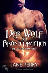 Der Wolf des Bronzedrachen