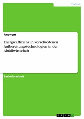 Energieeffizienz in verschiedenen Aufbereitungstechnologien in der Abfallwirtschaft