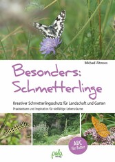 Besonders: Schmetterlinge