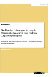 Nachhaltige Leistungssteigerung in Organisationen durch eine effektive Anpassungsfähigkeit