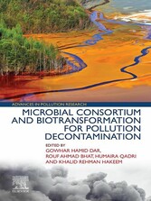 Microbial Consortium and Biotransformation for Pollution Decontamination