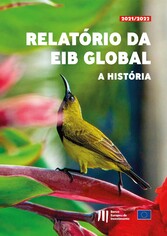 Relatório da EIB Global - A história