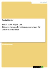 Fluch oder Segen des Bilanzrechtsmodernisierungsgesetzes für den Unternehmer