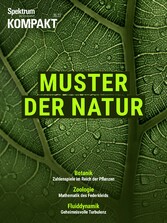 Spektrum Kompakt - Muster der Natur