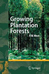 Growing Plantation Forests