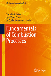 Fundamentals of Combustion Processes