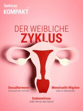 Spektrum Kompakt - Der weibliche Zyklus