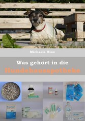 Was gehört in die Hundehausaportheke