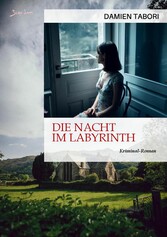 DIE NACHT IM LABYRINTH