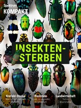 Spektrum Kompakt - Insektensterben