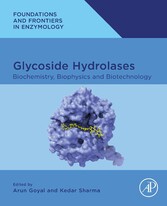 Glycoside Hydrolases