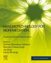 Nanobiotechnology for Bioremediation