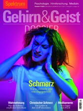 Gehirn&Geist Dossier - Schmerz