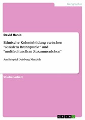 Ethnische Koloniebildung zwischen 'sozialem Brennpunkt' und 'multikulturellem Zusammenleben'