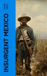 Insurgent Mexico