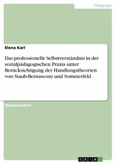 Das professionelle Selbstverständnis in der sozialpädagogischen Praxis unter Berücksichtigung der Handlungstheorien von Staub-Bernasconi und Sommerfeld