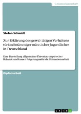 Zur Erklärung des gewalttätigen Verhaltens türkischstämmiger männlicher Jugendlicher in Deutschland