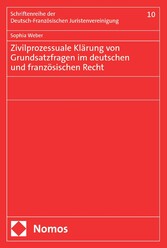 Zivilprozessuale Klärung von Grundsatzfragen im deutschen und französischen Recht