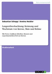 Langzeitbeobachtung: Keimung und Wachstum von Kresse, Mais und Bohne