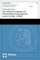 Der effiziente Zugang zum Elektrizitätsversorgungsnetz nach § 20 Abs. 1 EnWG