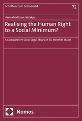 Realising the Human Right to a Social Minimum?