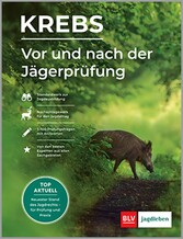 Vor und nach der Jägerprüfung - Teilausgabe Wildkunde & Wildkrankheiten