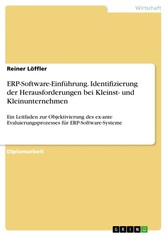 ERP-Software-Einführung. Identifizierung der Herausforderungen bei Kleinst- und Kleinunternehmen