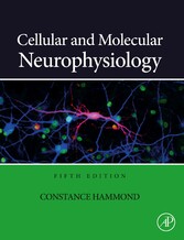 Cellular and Molecular Neurophysiology