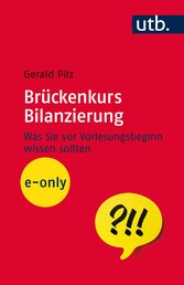 Brückenkurs Bilanzierung