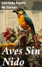 Aves Sin Nido