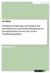 Schulische Förderung von Kindern mit Störungen der sensorischen Integration im altersgemischten Lernen der neuen Schuleingangsphase