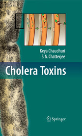 Cholera Toxins