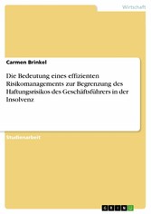 Die Bedeutung eines effizienten Risikomanagements zur Begrenzung des Haftungsrisikos des Geschäftsführers in der Insolvenz