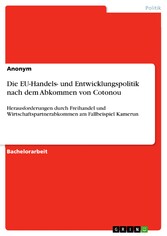 Die EU-Handels- und Entwicklungspolitik nach dem Abkommen von Cotonou