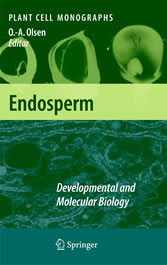 Endosperm