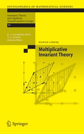 Multiplicative Invariant Theory