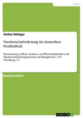 Nachwuchsförderung im deutschen Profifußball