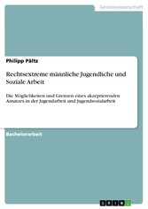 Rechtsextreme männliche Jugendliche und Soziale Arbeit