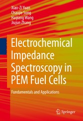 Electrochemical Impedance Spectroscopy in PEM Fuel Cells