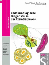 Endokrinologische Diagnostik in der Kleintierpraxis