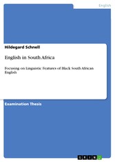 English in South Africa