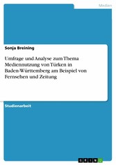 Umfrage und Analyse zum Thema Mediennutzung von Türken  in Baden-Württemberg am Beispiel von Fernsehen und Zeitung