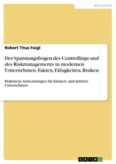 Der Spannungsbogen des Controllings und des Riskmanagements in modernen Unternehmen. Fakten, Fähigkeiten, Risiken