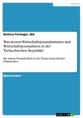 Was steuert Wirtschaftsjournalistinnen und Wirtschaftsjournalisten in der Tschechischen Republik?