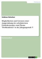 Möglichkeiten und Grenzen einer Ausgestaltung des schulinternen Förderkonzeptes zum Thema 'Problemlösen' in der Jahrgangsstufe 5