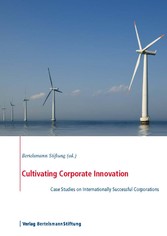 Cultivating Corporate Innovation