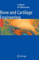 Bone and Cartilage Engineering